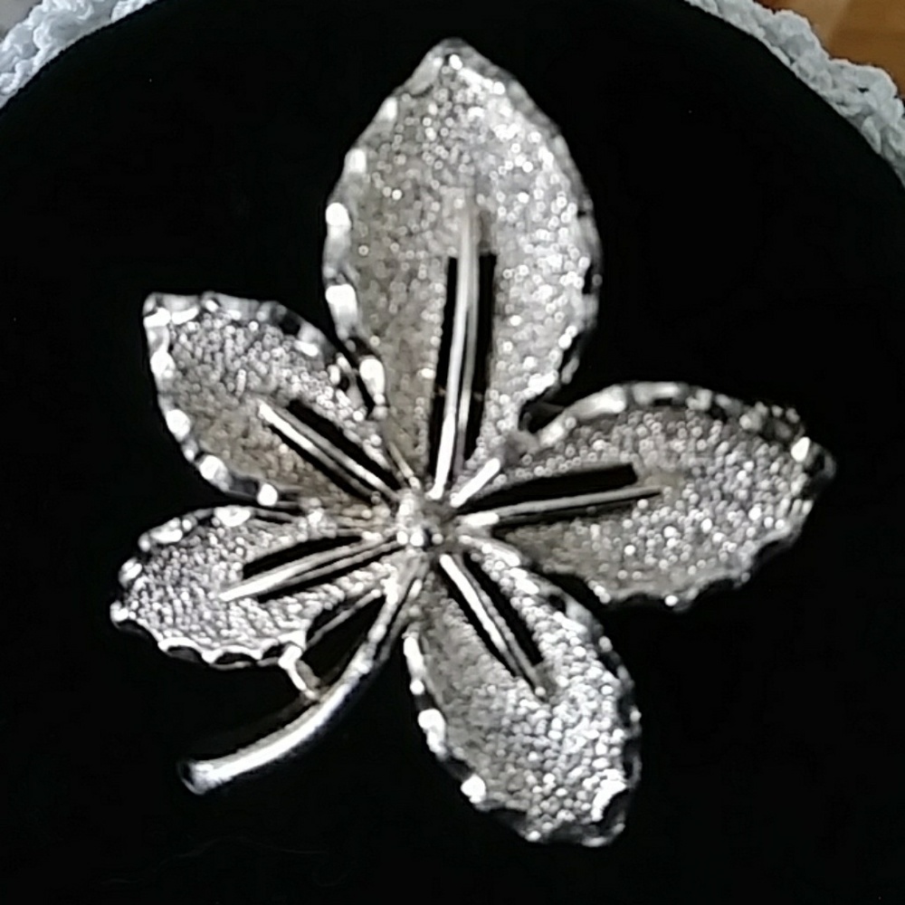 🍁Sarah Coventry Brooch